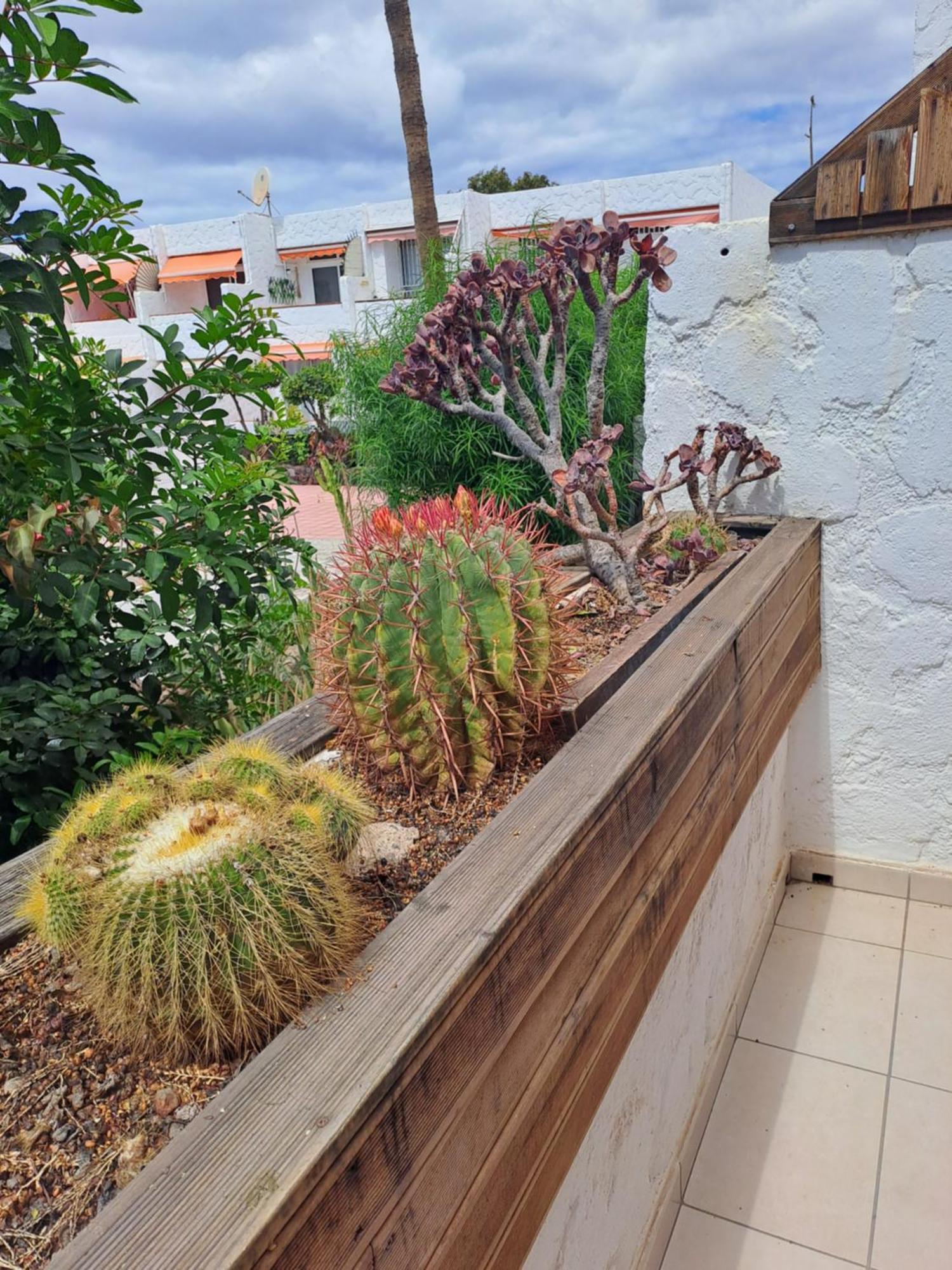 El Chaparral Studio Poolview Ground Floor Arona  Exterior photo